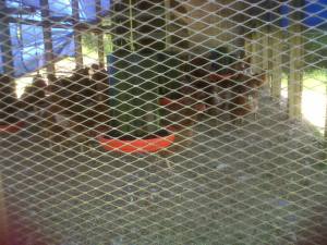 1016191_10151704188329843_391115520_n