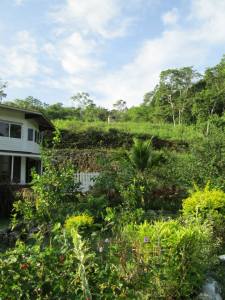 1174611_10151677161199843_122276163_n