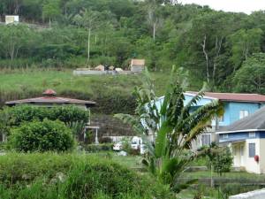 1238090_10151662904199843_752720998_n