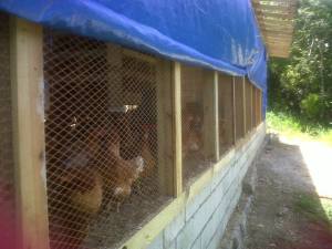 1376342_10151704188294843_508008078_n